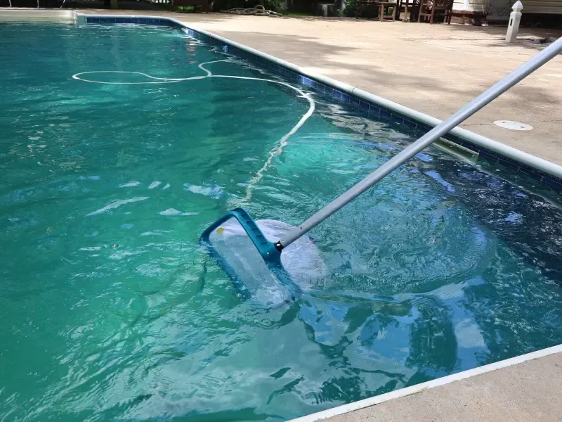 Blue Wave employees cleaning a client pool.